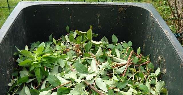 Raccolta rifiuti verdi a Brunico: date e punti di conferimento - Pusteria Gardena Badia 3 1761411577 image