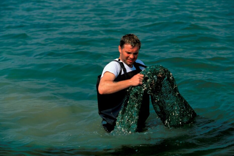Il deputato spagnolo perde la battaglia con l'Italia sulla dimensione del guscio 3 GettyImages 1198609773 1