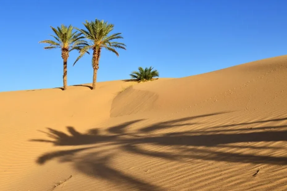 Sahara: aumento previsto delle piogge nel XXI secolo. 3 eyJidWNrZXQiOiJrb2wtaW1hZ2VzLXByb2QiLCJrZXkiOiJwaWN0dXJlcy9hZ2kvYWdpLzIwMjUvMTAvMTcvMjAyNjQ0NDkzLWJh