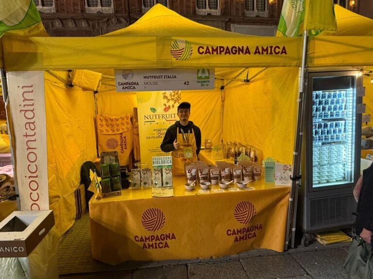 WhatsApp Image 2025 11 09 at 10.03.10