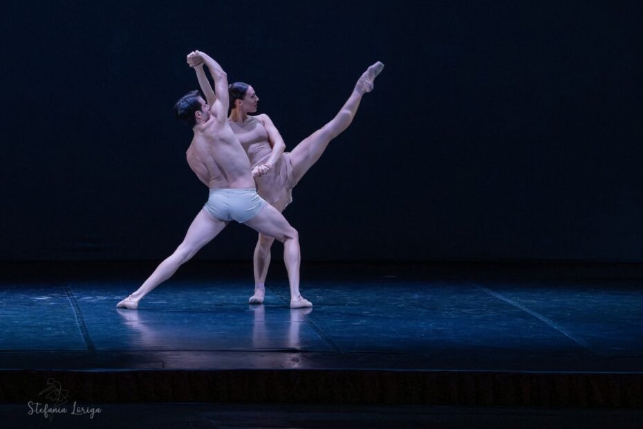 WhatsApp Image 2025 11 10 at 18.12.37