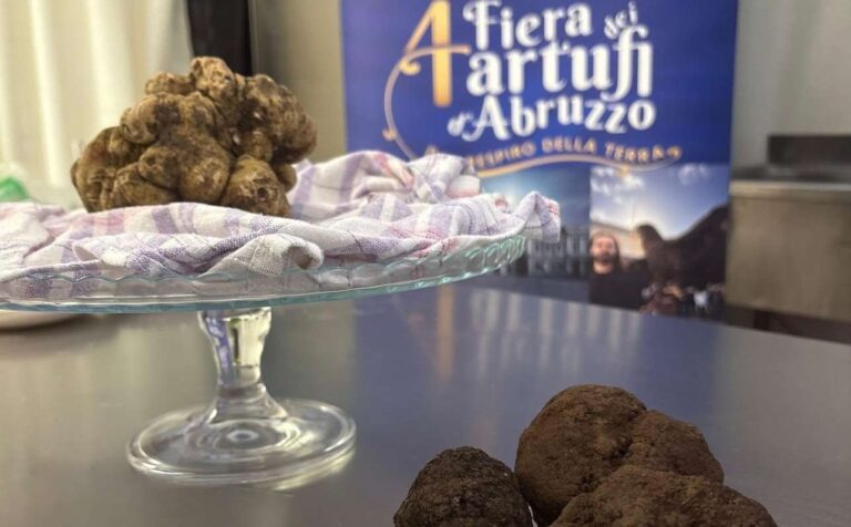 tartufo fiera abruzzo