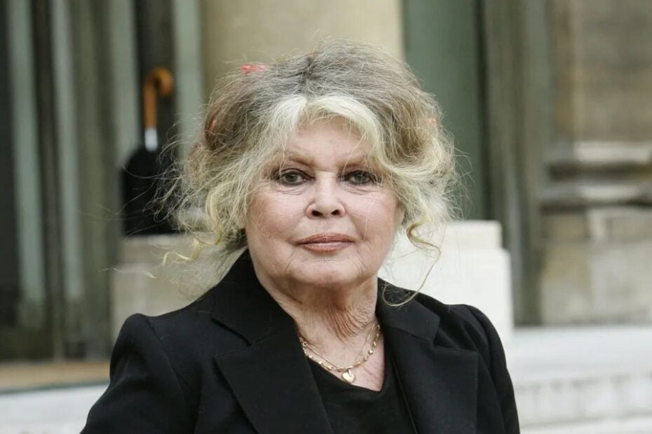 Addio a Brigitte Bardot, icona anticonformista del cinema francese -  www.latestata.it